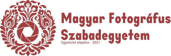 MFSZE Logo